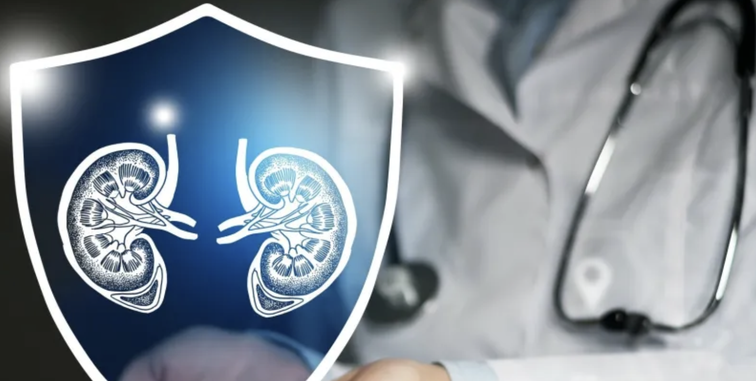 INTERVIEW - Prof. dr. sc. Jerko Barbić, pročelnik Zavoda za nefrologiju KBCO-a: Bubrežnu bolest ima 10 posto odraslih, a mnogi to ne znaju